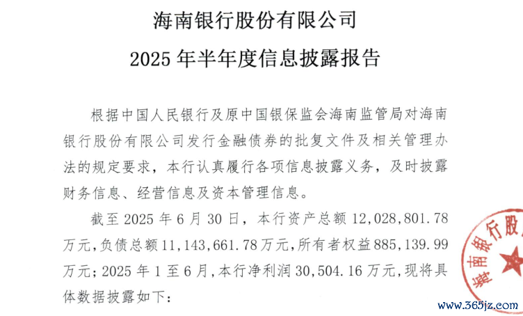 图片系海南银行半年度信息显露敷陈部分截图